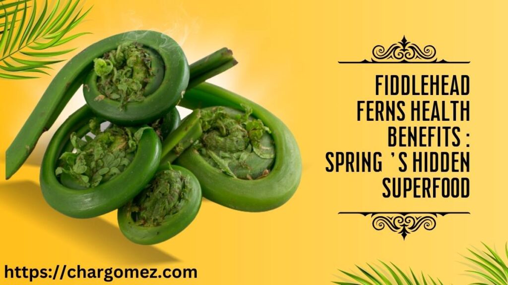 Fiddlehead Ferns Health Benefits
