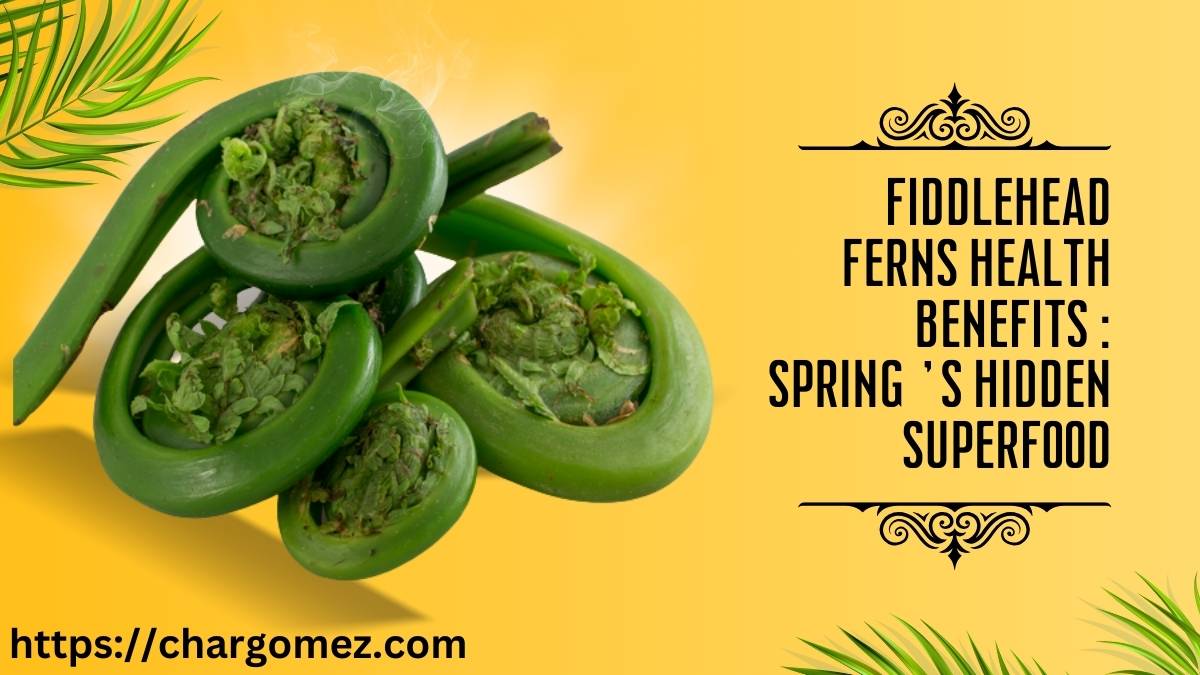 Fiddlehead Ferns Health Benefits